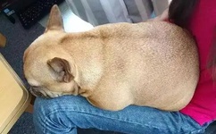 最近日本韩国免费高清观看MV